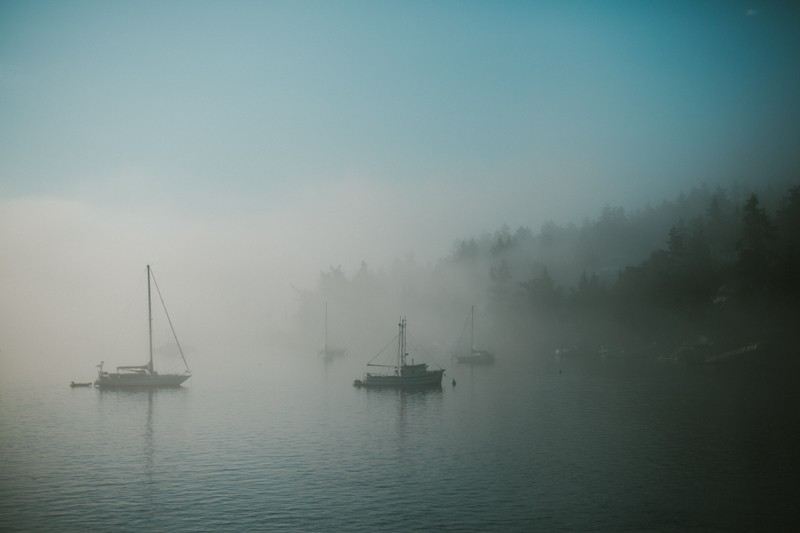 friday harbor san juan islands fishing boats in fog