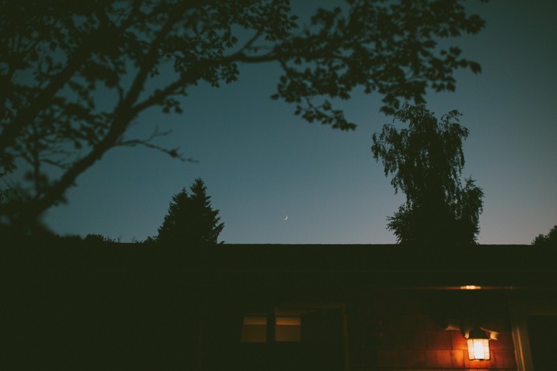 Crescent New Moon and Venus at dusk, framed with tree silhouettes. 