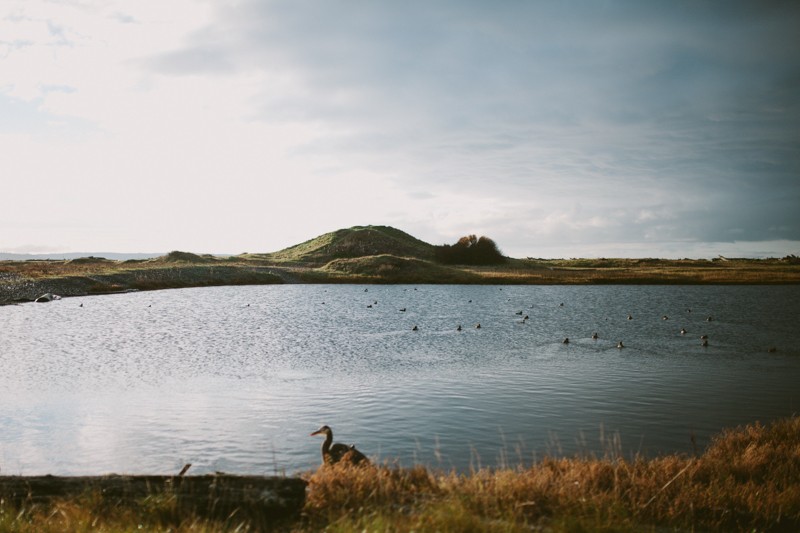 Coupeville, WA landscape | Whidbey Island photographer Meghann Prouse | www.photomegs.com