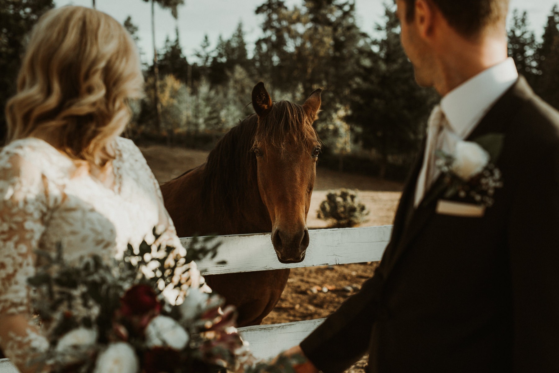 Romantic Poulsbo farm wedding | PNW wedding + elopement photographer Meghann Prouse | www.photomegs.com