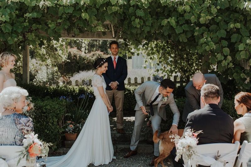 Sweet moment with family dog during wedding ceremony on Whidbey Island, WA. 