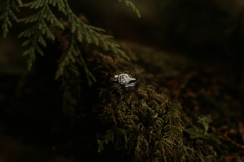 PNW elopement inspiration on the Hood Canal | Seattle wedding + elopement photographer Meghann Prouse | www.photomegs.com