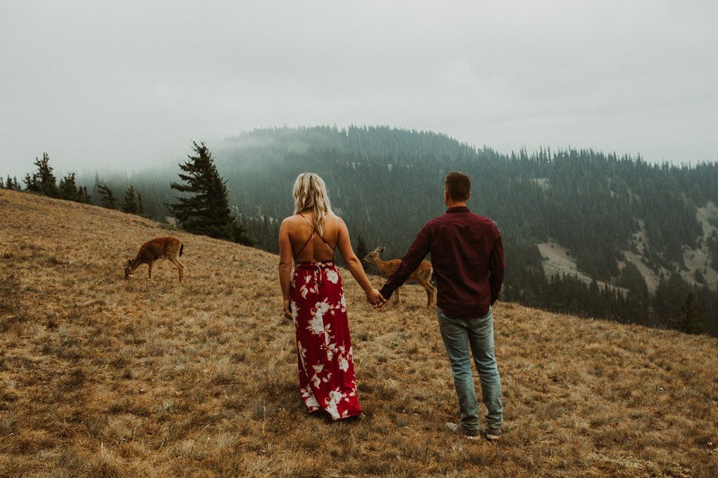 Mountaintop engagement session with deer | Bremerton elopement +
