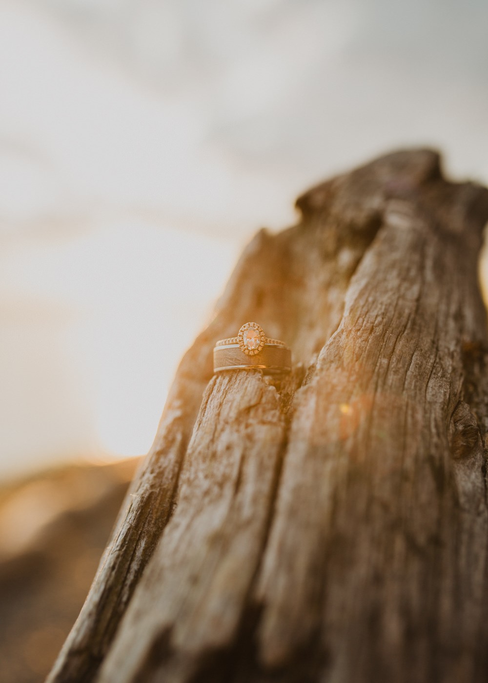 Halo pavé band engagement ring with textured wedding band, on beach driftwood in the PNW. 