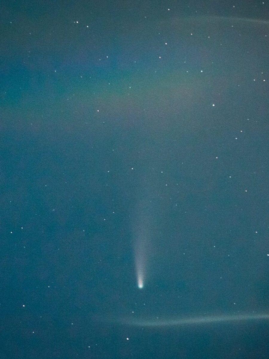 neowise comet
